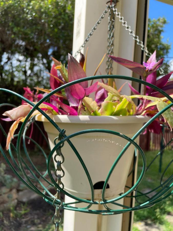 Theme Parks Amituofo Homestay Gold Coast Luaran gambar