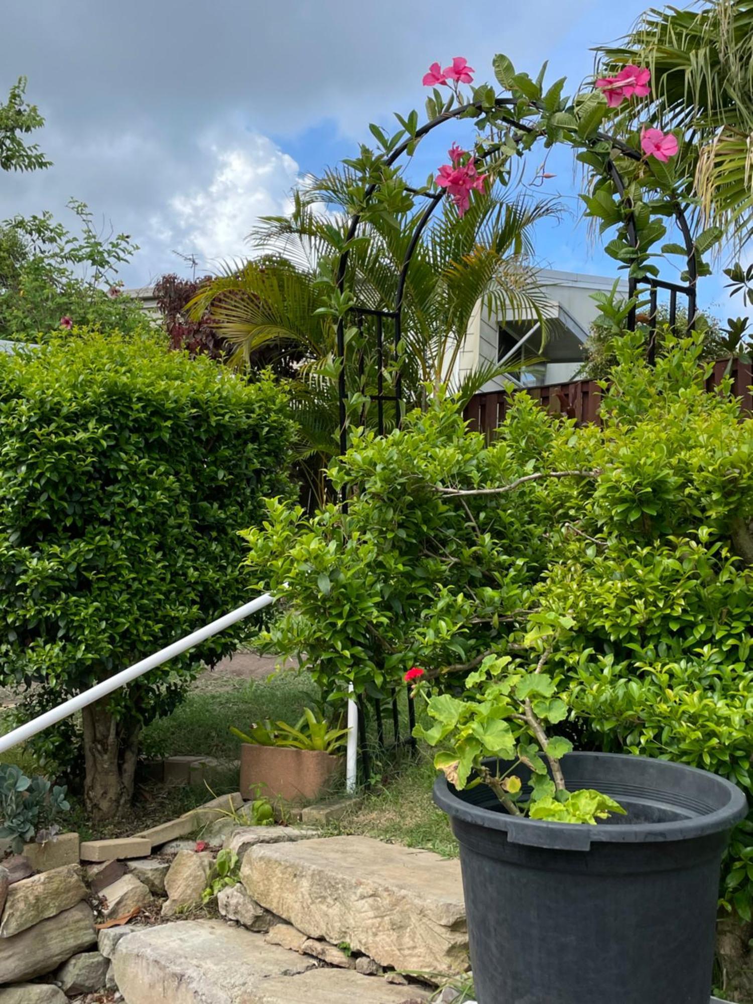 Theme Parks Amituofo Homestay Gold Coast Luaran gambar